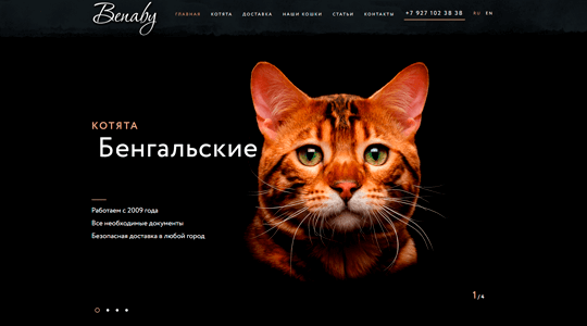 Website screenshot benaby.ru