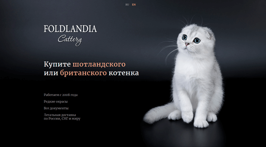 Website screenshot foldlandia.ru